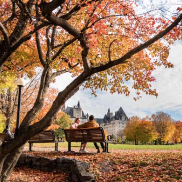 「调休」的英语是什么？