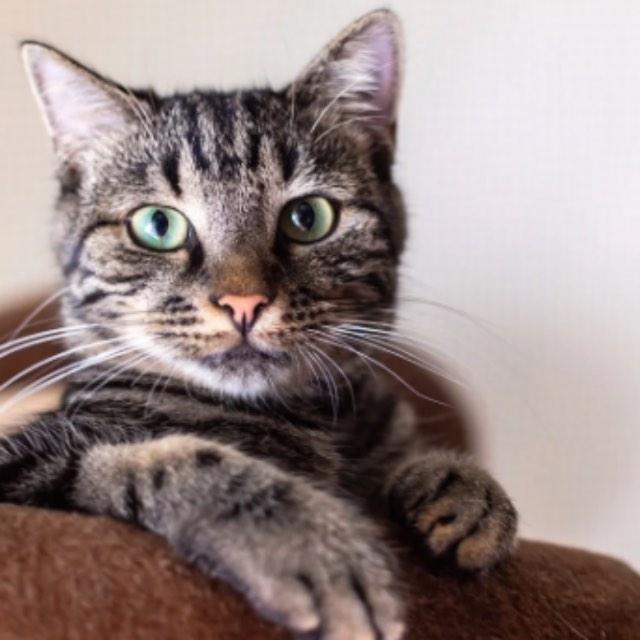 瞎扯 · 如何正确地吐槽