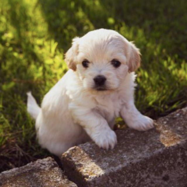 瞎扯 · 如何正确地吐槽