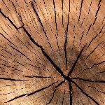 榫卯结构那么紧实，为什么现代工业没有进行大规模应用？