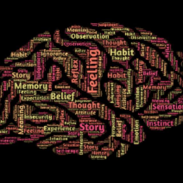 为什么只有人类进化出高度发达的大脑?