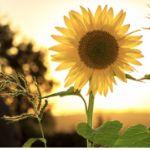 瞎扯 · 如何正确地吐槽