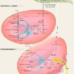 蚕豆病为什么可以吃别的豆，蚕豆中含有什么特殊的，医学原理是什么？