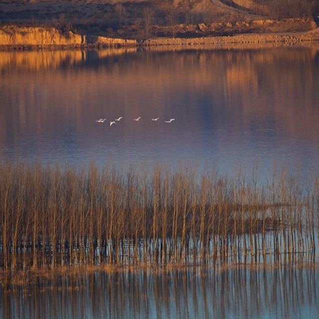 为什么整条黄河就叫黄河,长江上游确分金沙江、通天河及沱沱河?