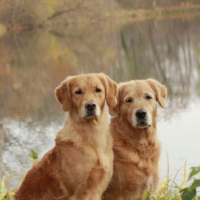 瞎扯 · 如何正确地吐槽