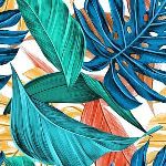 漫画中「画风」和「画崩」的区别是什么？