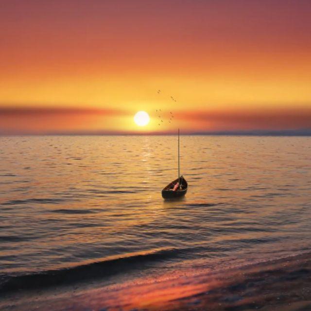 黄河每天将鱼冲入大海，淡水鱼在海中无法生存活，这些鱼去哪里了？