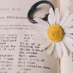 你见过哪些错误或者不太恰当的翻译？