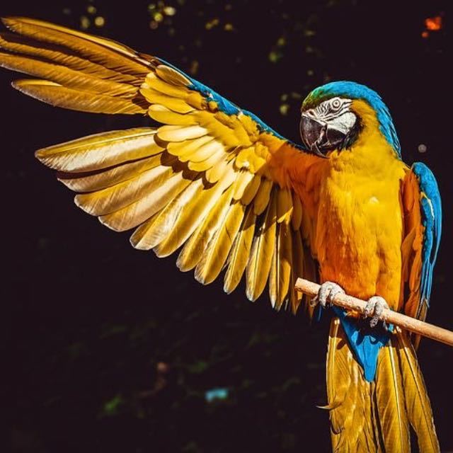 瞎扯·如何正确地吐槽