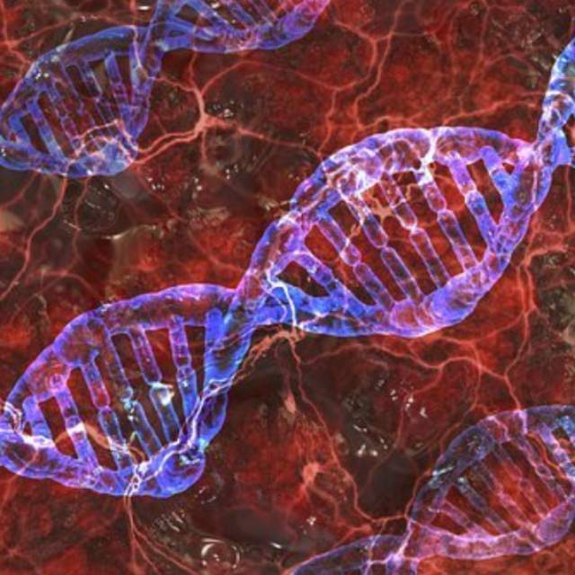 为什么生物演化不可逆？