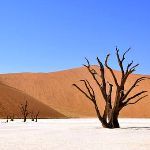 如何给孩子解释「沙漠那么干，为什么不人工降雨」?