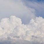 为什么空气中 N 元素这么多，但没有一个动物进化到可以利用空气中的氮气合成氨基酸呢？