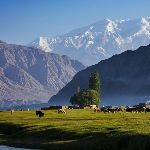 新疆深度旅行该如何制定线路？有哪些建议？