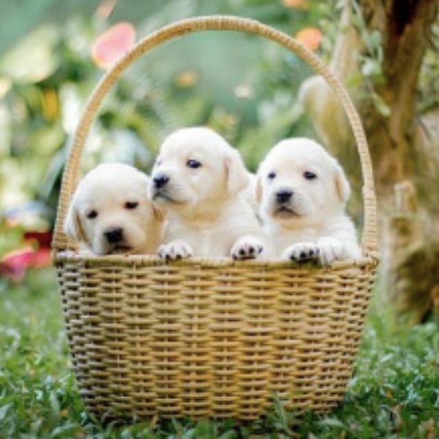 瞎扯 · 如何正确地吐槽