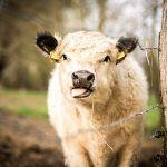 瞎扯 · 如何正确地吐槽