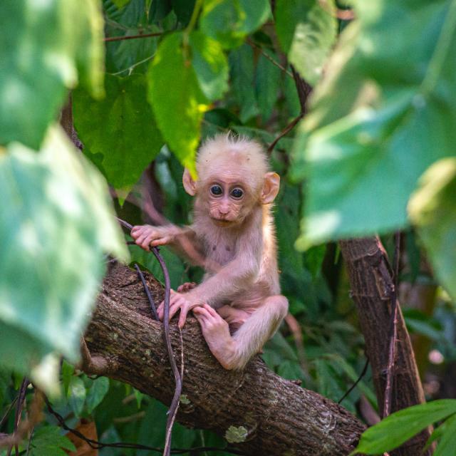 瞎扯 · 如何正确地吐槽