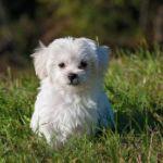 瞎扯 · 如何正确地吐槽