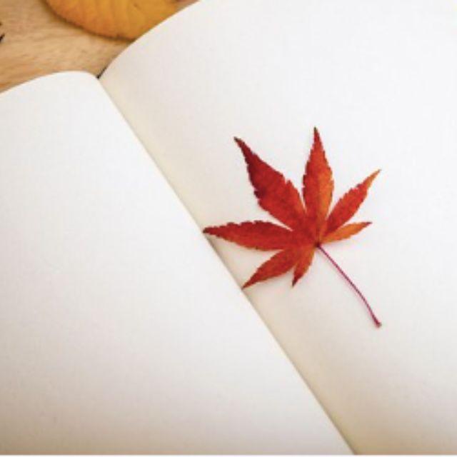 古代诗词是如何被记录并传播开来的？