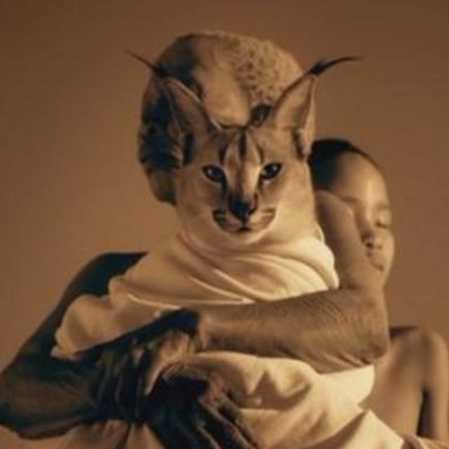 到目前为止，你看过哪些可以称为「顶级纪录片」的纪录片？