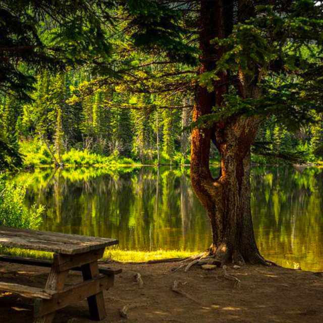 多地推出与景区实景结合剧本杀项目，该模式是昙花一现还是未来可期？