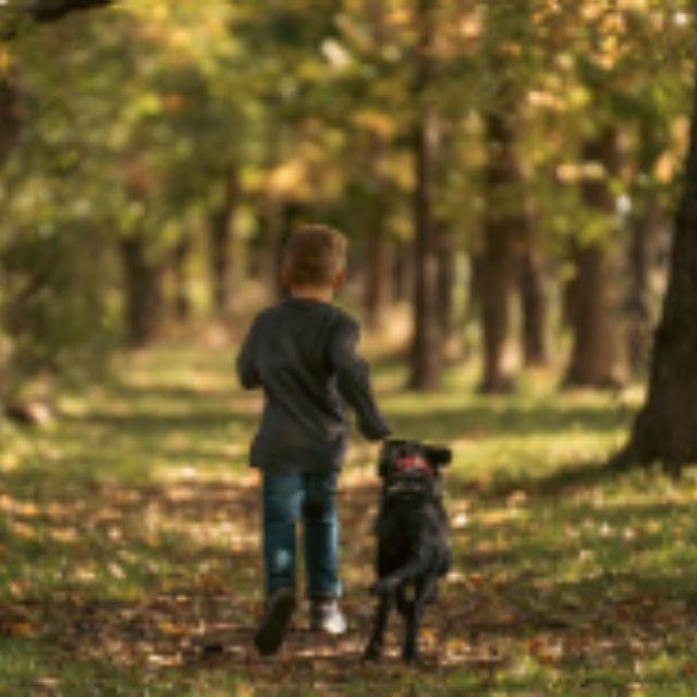 瞎扯 · 如何正确地吐槽