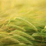 红楼梦里面一两银子按照现在购买力大概等于多少钱？