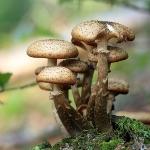 瞎扯 · 如何正确地吐槽