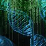 父母的哪些特征是会遗传给子女的？概率多高？