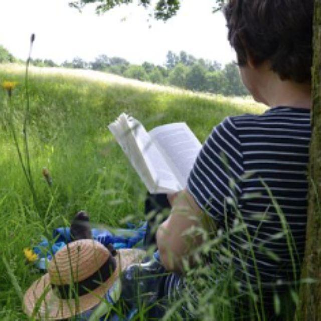 为什么《三体》读者大多骂程心而对叶文洁却莫名地宽容？