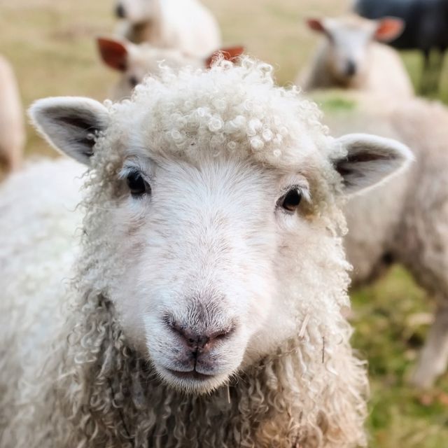 瞎扯 · 如何正确地吐槽