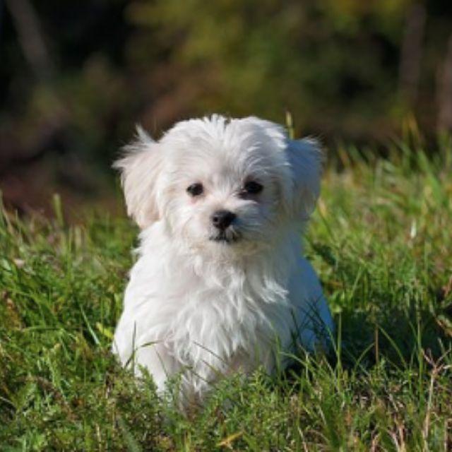 瞎扯 · 如何正确地吐槽