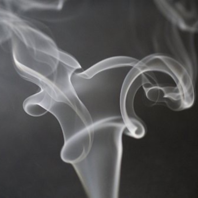 电影里把大量毒品冲进下水道，会造成什么影响？