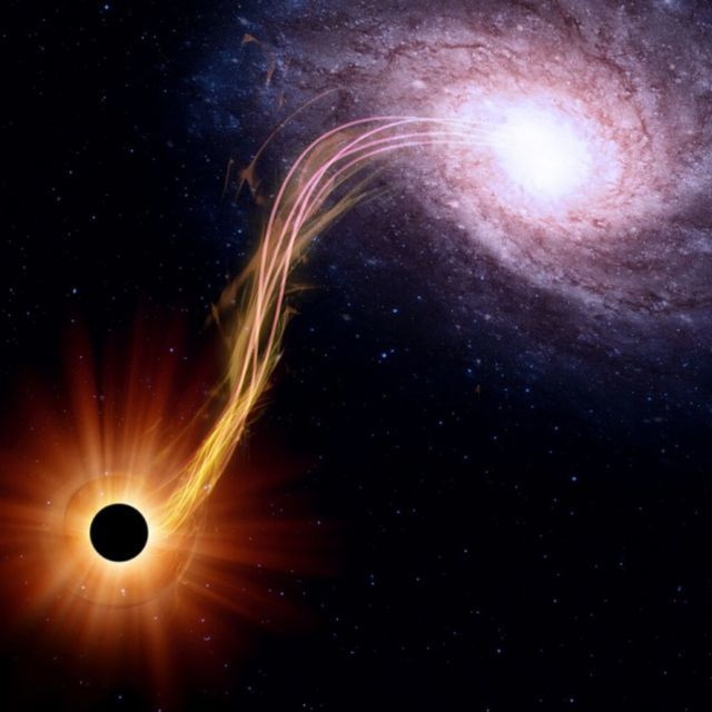 粒子在施瓦西黑洞内部是如何运动的？