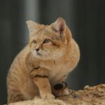 瞎扯 · 如何正确地吐槽