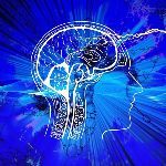 当人脑完全开发时有多厉害？