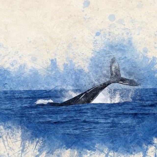 瞎扯·如何正确地吐槽