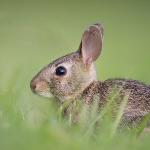 瞎扯 · 如何正确地吐槽