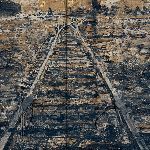 有哪些出色的使用厚涂手法的当代油画作品？