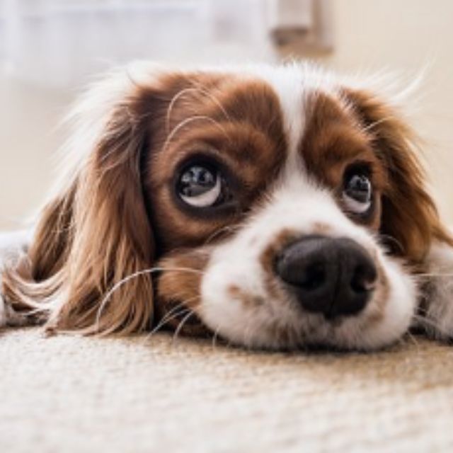 瞎扯 · 如何正确地吐槽