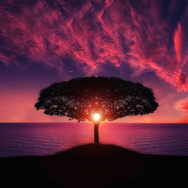 有没有一刻你觉得地球生物圈环境很脆弱有想要保护她的冲动，你是怎么做的？