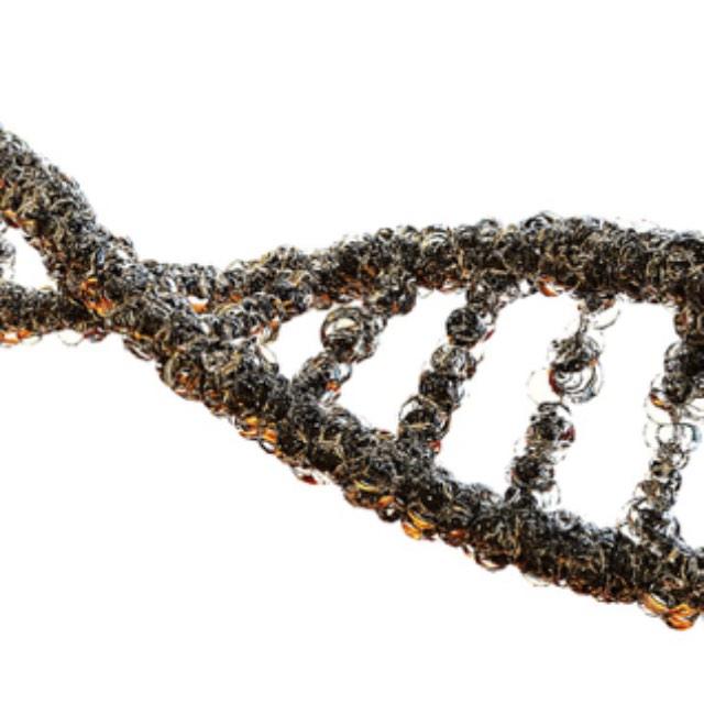 刻在人类基因中里的禁令有哪些？