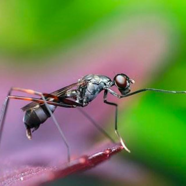 瞎扯 · 如何正确地吐槽