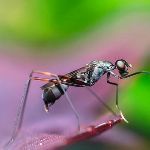 瞎扯 · 如何正确地吐槽