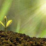 为什么光合作用的过程不能被机器模仿？