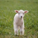 瞎扯 · 如何正确地吐槽