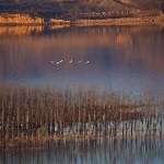 为什么整条黄河就叫黄河，长江上游确分金沙江、通天河及沱沱河？