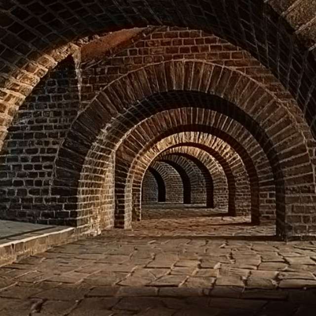 历史上有哪些视死如归的人物？