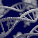 原始人在森林中，经常会受到后方野兽的偷袭。那人类为什么没有进化出前面两只眼，后脑勺也长两只眼的特征？