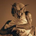 到目前为止，你看过哪些可以称为「顶级纪录片」的纪录片？