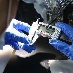 什么人不适合做科研？